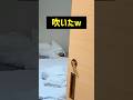 【吹いた】自分を春巻きと思ってる人w #shorts