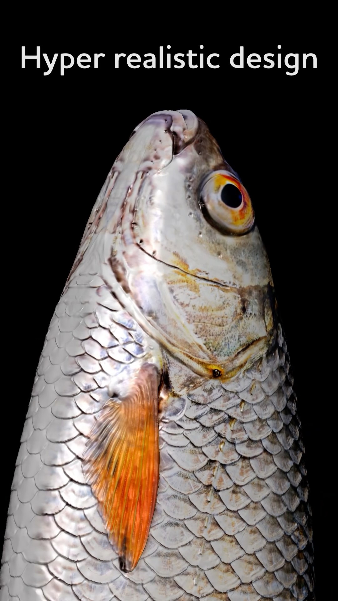 Ricky The Roach Inline #comingsoon #westinfishing - YouTube