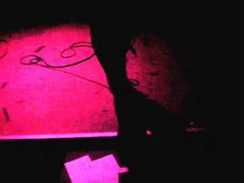 Linea Aspera — Linea Aspera | Kinabalu live | Future Echo 16