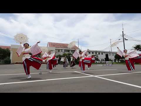 葵や一晴①　まじすかよこすか　横須賀よさこい祭り２０１８　2018/06/24