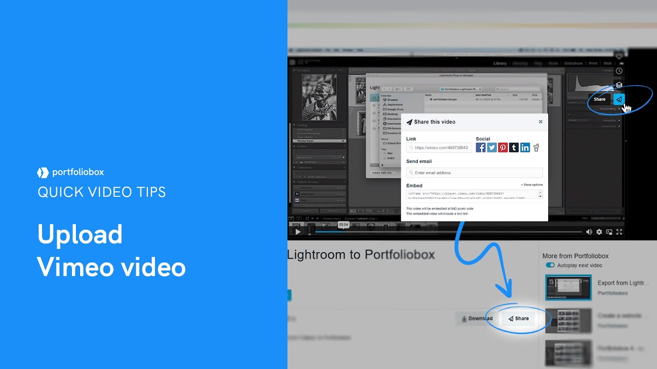 Embed your Vimeo videos and loop them