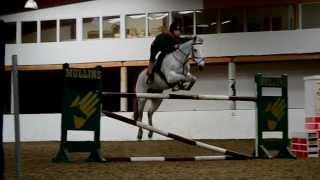 14.1hh jumping over 1m40.