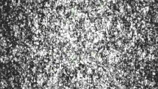 3ds max exploding text 2 Profile