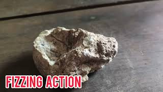 limestone identification || Geology Aspirant