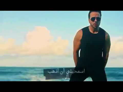 اغنية ديسابستو مترجم بالعربي