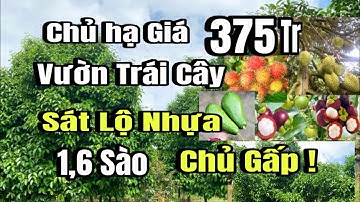 Anh lý hạ giá bán gấp, vườn đủ loại trái cây, sát lộ nhựa, cẩm Mỹ Đồng Nai
