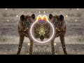 Sound Hyena Sound Effect Free HD 