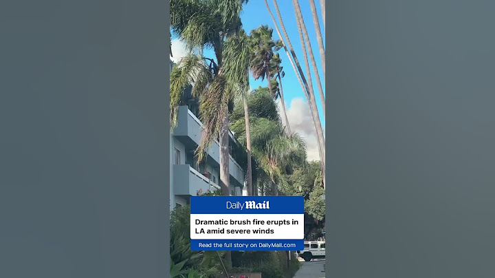 Brush fire erupts in Los Angeles amid severe winds