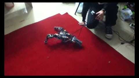 Model Adaptive Gait Scheme Based on Evolutionary Algorithm