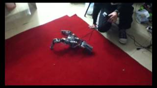 Model Adaptive Gait Scheme Based on Evolutionary Algorithm