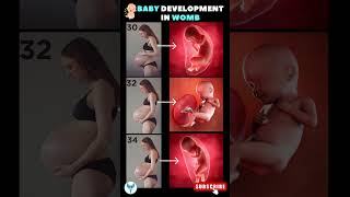 Baby development in womb ?Pregnany week by week ❤️  Baby growth shortsfeed babydevelopment shorts