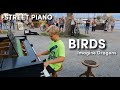Imagine dragons  birds  street piano performance by david leon piano cover
