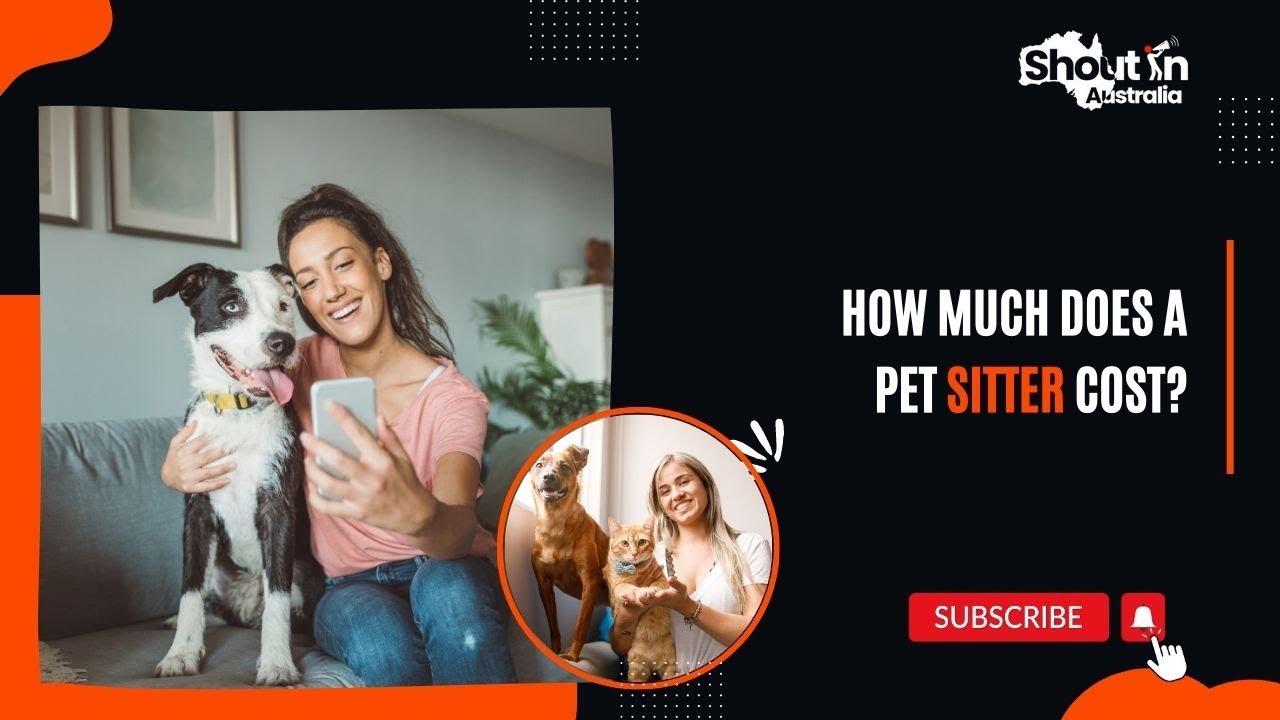 How Much Does A Pet Sitter Cost?