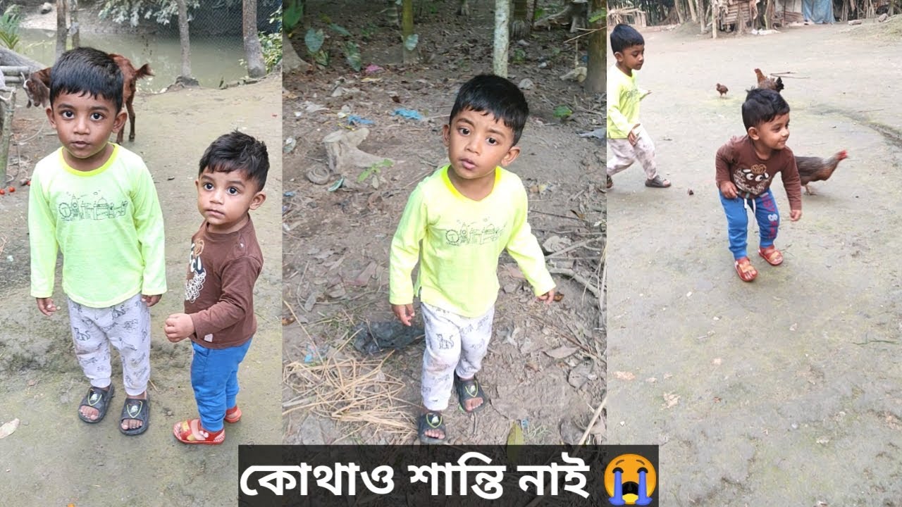 একা পিঠাপিঠি দুই ছেলের যন্ত্রণায় বাসা বাড়ি ছেড়ে চলে আসছি হাঁস, মুরগি,গরু ছাগলের দেশে! শান্তি নাই