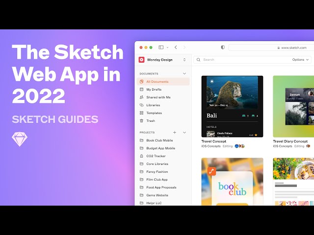 Sketch Guides