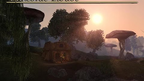 Morrowind Modding Interviews - Brucoms