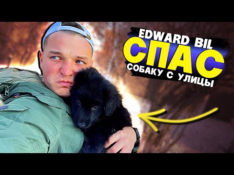EDWARD BIL / СПАС БЕЗДОМНОГО ДРУГА / ПОДОБРАЛ СОБАКУ С УЛИЦЫ / ПОМОГ ПРИЮТУ ДЛЯ ЖИВОТНЫХ