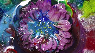 Flow of ink- organic geometry