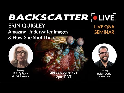 Erin Quigley's Amazing Underwater Images & How She Shot Them [Recorded LIVE] June 9 2020