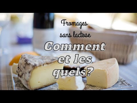 FROMAGE SANS LACTOSE COMMENT?? POURQUOI?? ET LESQUELS ??