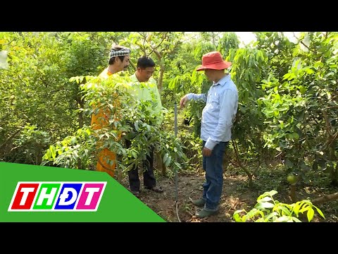 Video Kỳ 40: Tham quan hệ thống tưới tiêu thông minh | Tiếp... - youtube