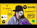 #TIDAL or #Spotify - 2020 review - #VetkaDiver