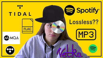 #TIDAL or #Spotify - 2020 review - #VetkaDiver