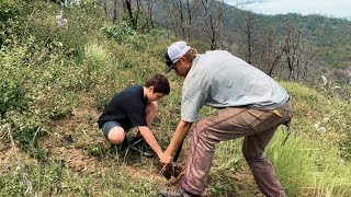 Replanting Paradise with #TeamTrees in California (Butte County)