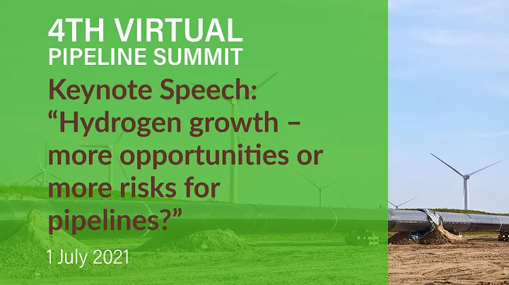 Hydrogen growth  more opportunities or more risks ...
