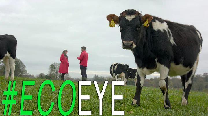 Land Matters EE18 EP2 (Part 1) What is Sustainable Agriculture?