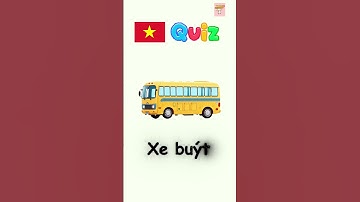 Learn Vietnamese everyday | Vocabulary Quiz | Test #learnvietnamese #easyvietnamese
