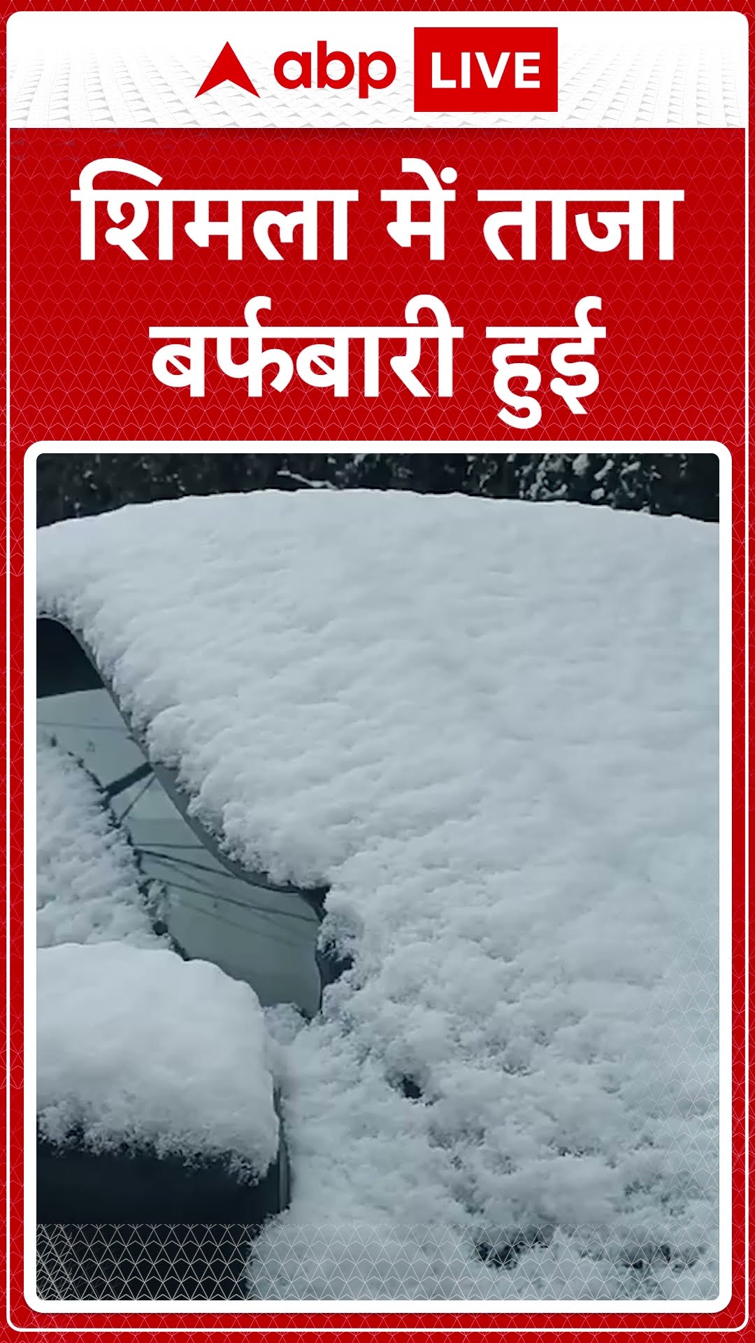 Himachal Pradesh Snowfall: हिमाचल प्रदेश के शिमला में ताजा बर्फबारी | ABP LIVE | SHORTS