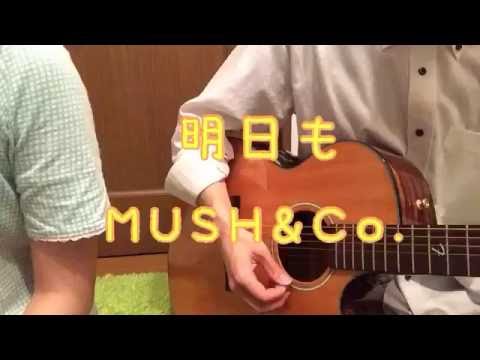 明日も/MUSH&Co. 歌ってみた 弾いてみた 弾き語り ユニット cover