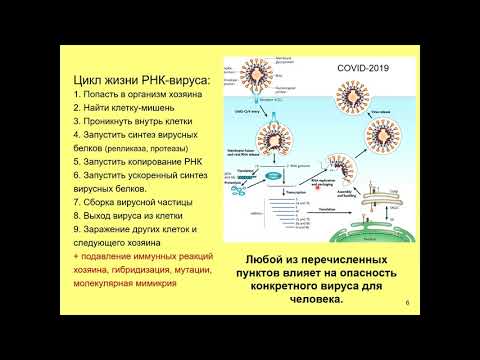 Дубынин В. А. - Физиология иммунитета - Самые опасные вирусы: оспа, Эбола и др.