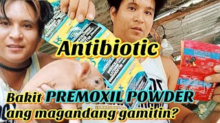 Premoxil Powder   Electrolytes   Multi V   Cecical powder. | Para sa bagong panganak na inahin..👍😊