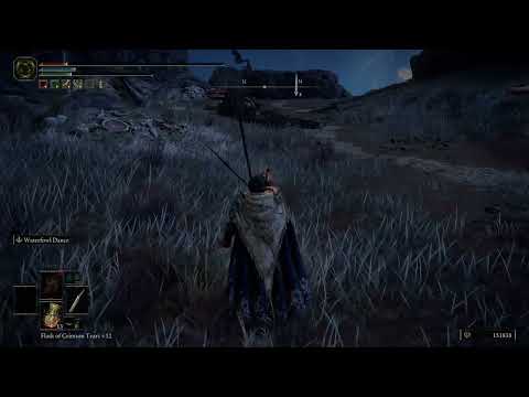 Elden Ring : Average Caelid Experience