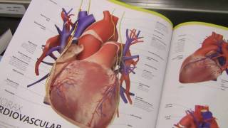 The math of your heart