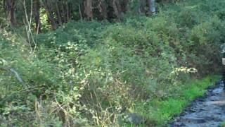 VID00042.MP4
