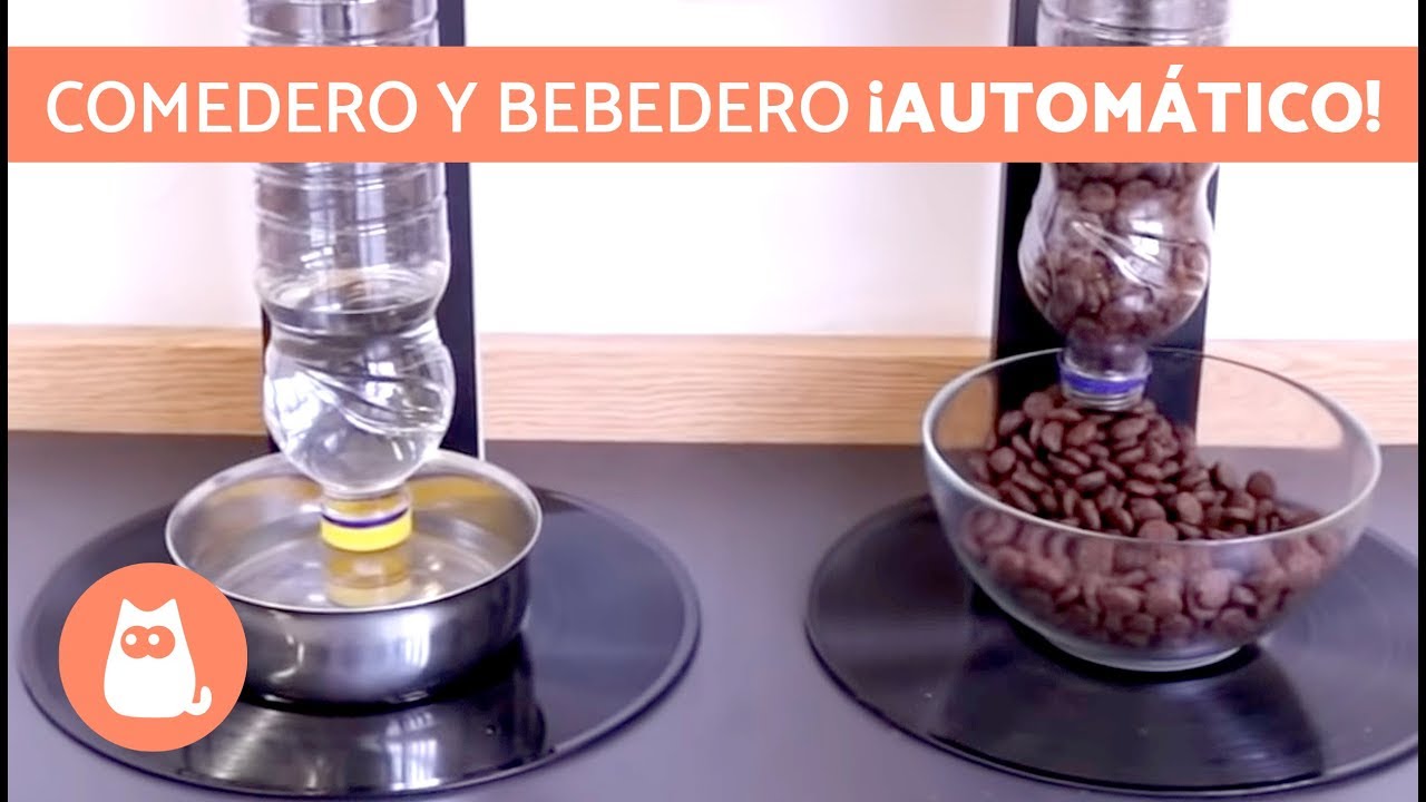 Cómo Hacer un Comedero Automático para Gatos 