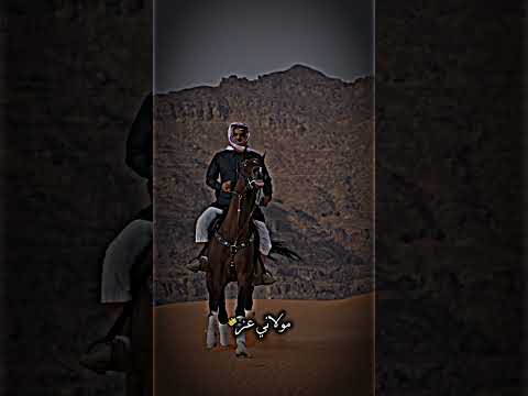 لاتغرك طيبتي ترا راسي عنيد الشاعر مولاني عز