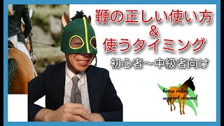 馬にやさしい鞭の使い方とは？～乗馬初心者も使う大切な道具～