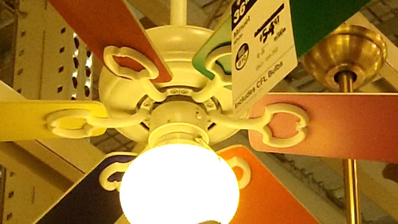 Ceiling Fans at another Home Depot (2012)