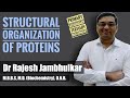 Structural organization of proteins