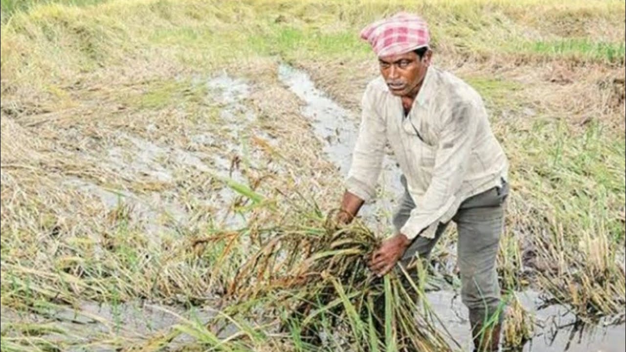 Spice money bank balance check l bank balance check l 