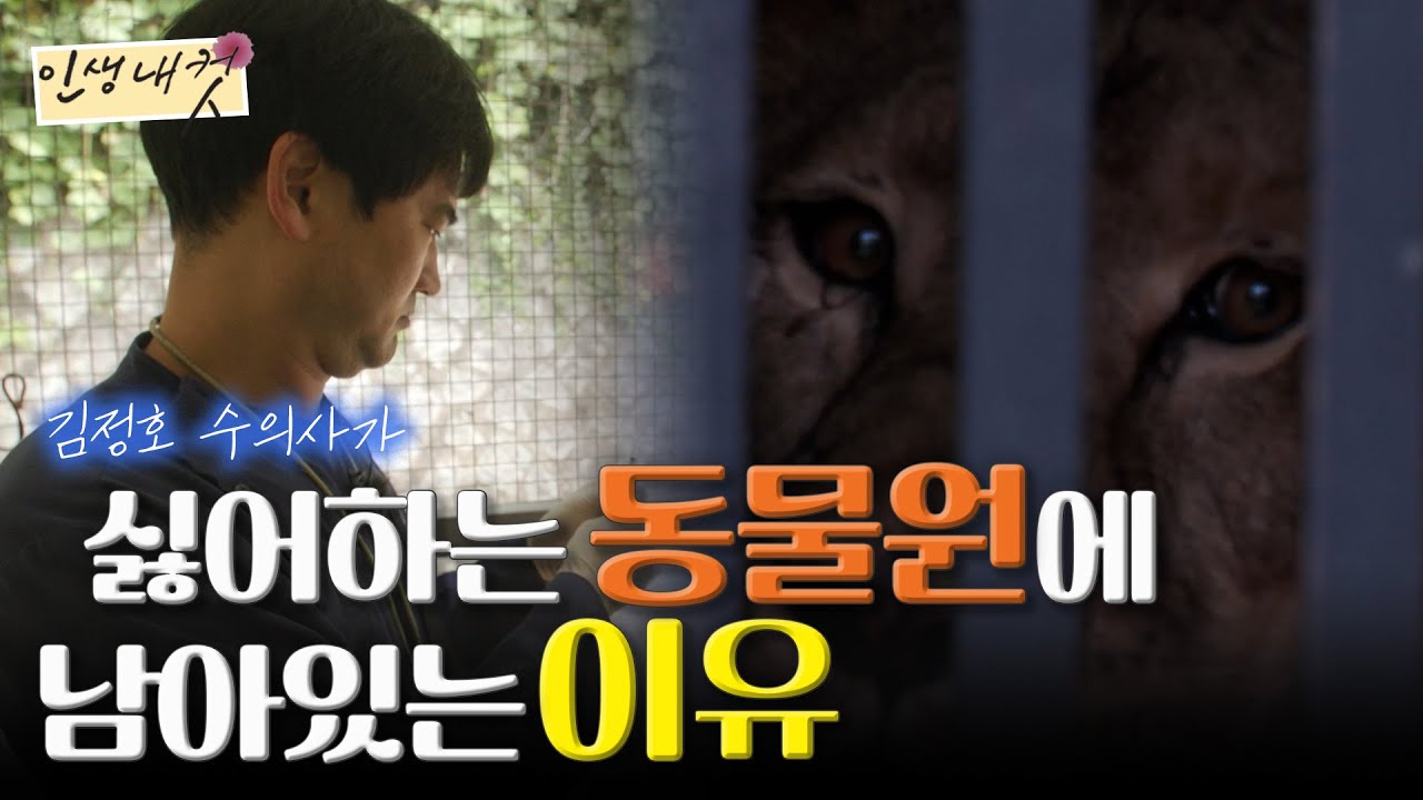 동물에 의한, 동물을 위한 청주동물원 수의사의 이야기 | MBC충북 | 231029