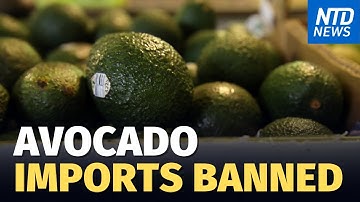Avocado Import Ban Hits Calif. Restaurants; LA Authorities Tally Human Trafficking Arrests | NTD