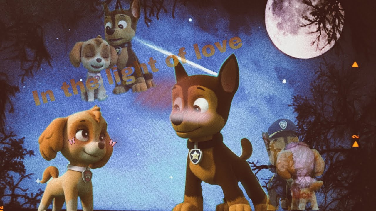 Chase x Skye for Skye and Chase forever