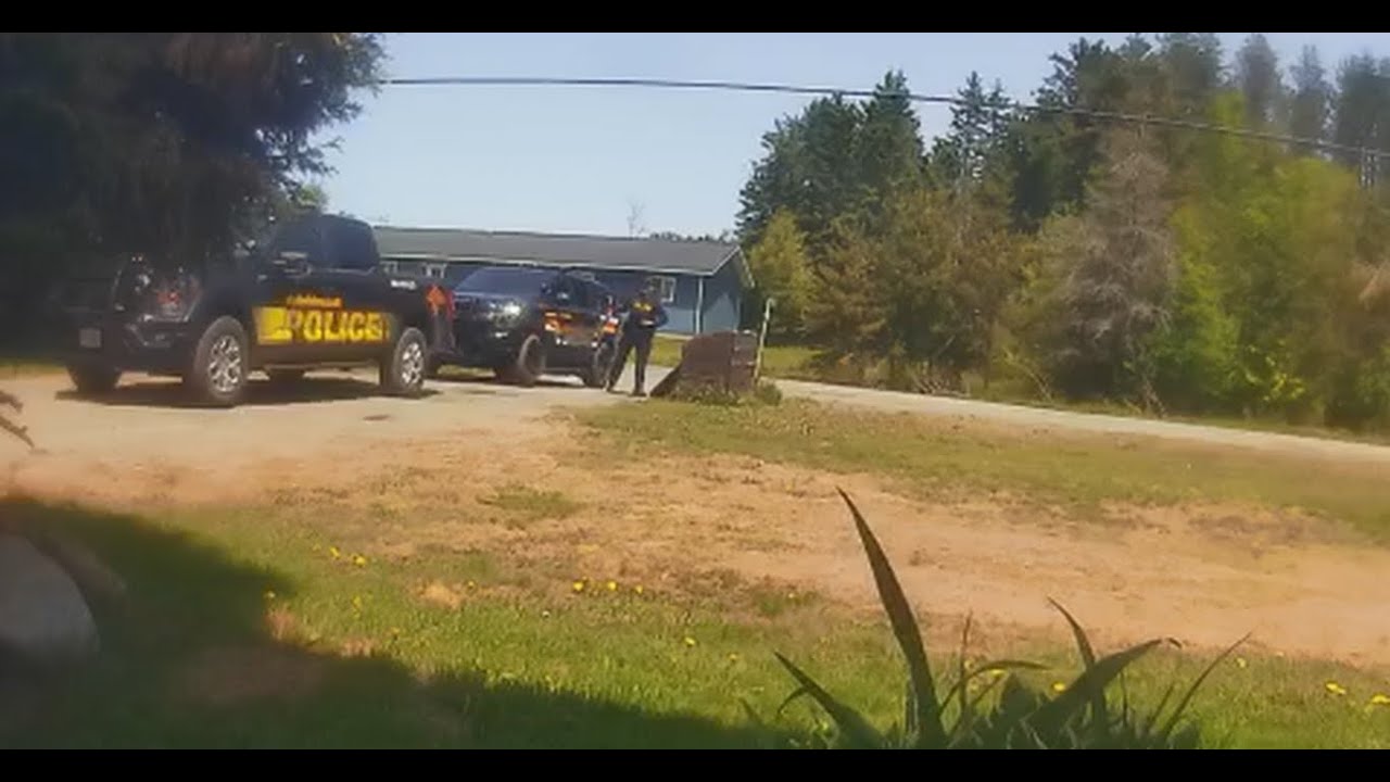 TED DRAPER HITS AGAIN #GARDENRIVER ASSAULT APS LOOKS THE OTHER WAY # ...