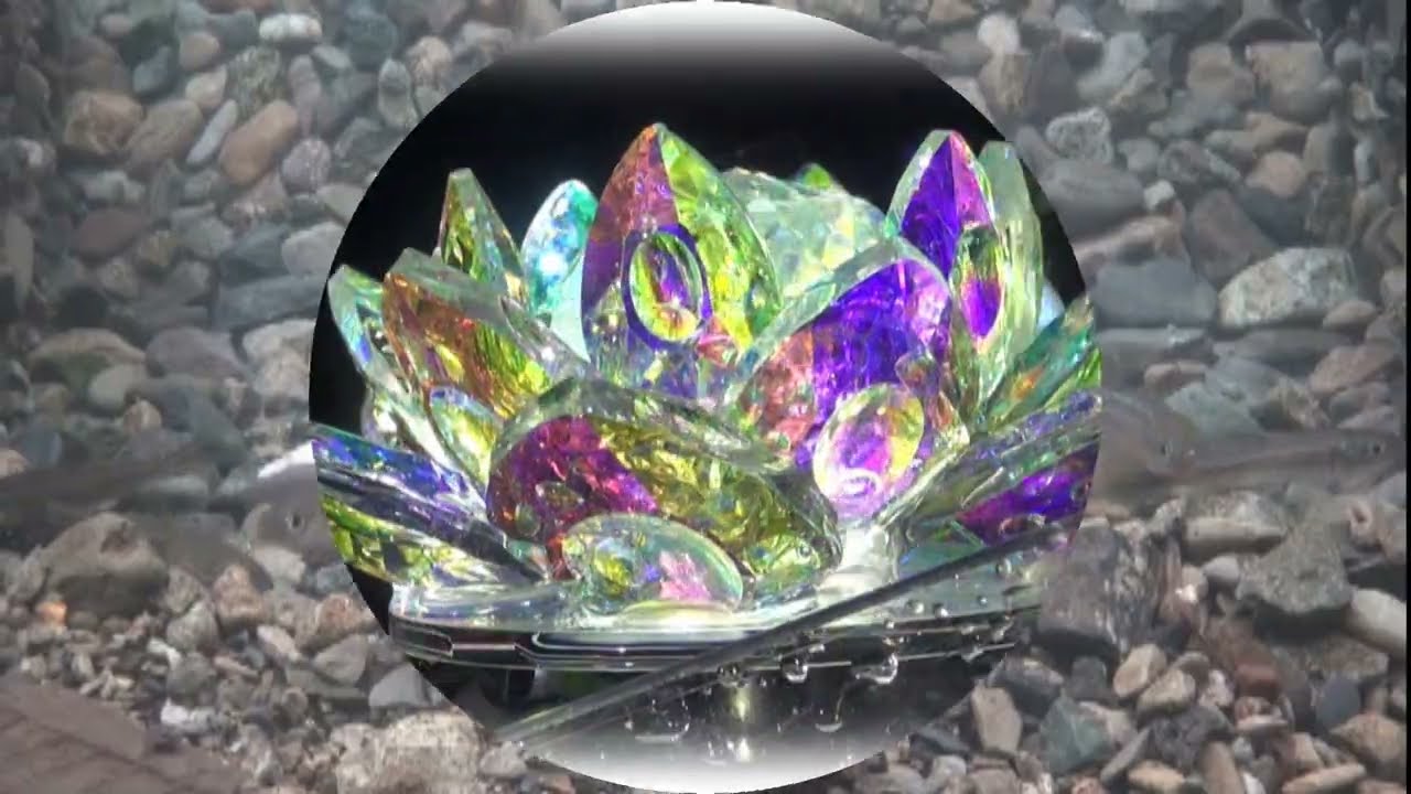 #何でもカンデモ　＃346