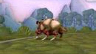 my beetle spore